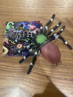 Item thumbnail for item e3d052a9-9ed7-4536-b7eb-4263c131400d