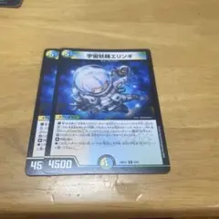 宇宙妖精　エリンギ　最安値！