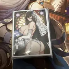 ブルーアーカイブ　スリーブ　ハスミ
