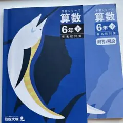 四谷大塚予習シリーズ、算数6年下有名校対策
