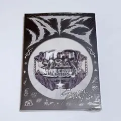 StrayKids SKZ スキズ アルバム ATE 新品未使用