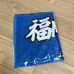 Item thumbnail for item ae88b447-0bb8-4461-b8f2-9c5db0c4df3a