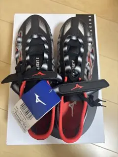 Item thumbnail for item edef145f-5a9f-4a00-8fae-bd8b9ce9f144