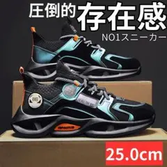 25cm40メンズスニーカーシューズランニング靴ブラック黒ストリート男紳士DSD