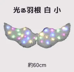 Item thumbnail for item 584564ad-48f9-45d0-a289-faf028473ce8