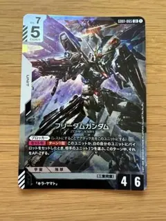 フリーダムガンダム lr