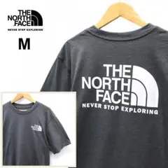 USA◇ノースフェイス「THROWBACK」Tシャツ/ot4594M