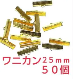 Item thumbnail for item 1fe489fb-ff06-408b-8811-cd9d454636bf