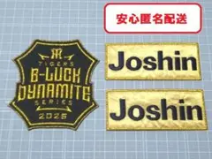 タイガースアイロンワッペン3枚セット TBDS限定Joshin パッチ
