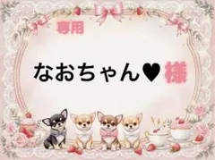 専用