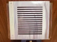 THE NOVEMBERS / Elegance