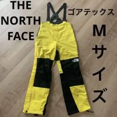 THE NORTH FACE エクストリームスノーパンツ ゴアテックス