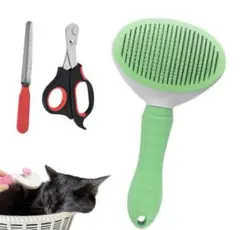 Item thumbnail for item 480da0e0-c092-45bd-9198-6d6c6981a361