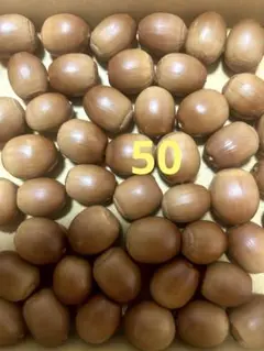 ●煮沸後天日干し済　どんぐり大　50個　SALE品