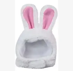 Item thumbnail for item 1d34d552-3744-4d73-8143-87332be001b4