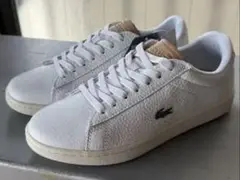Lacoste レザー スニーカー　半額以下　カーナビーevo 35.5インチ