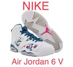 【桜木花道ファーストモデル！】NIKE Air Jordan 6 Retro