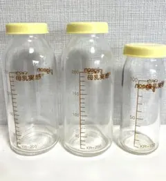 Item thumbnail for item e5ecd1e6-89e4-46e2-8e3c-c72f6820177c