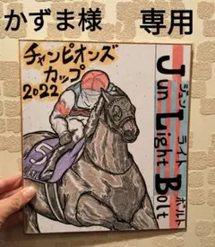 チャンピオンズC【ジュンライトボルト リアルバージョン】競走馬色紙イラスト 競馬