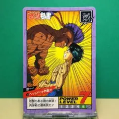 No.16 幽遊白書 カードダス スーパーバトル ノーマルカード 当時もの 酎