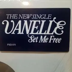 VANELLE/ SET ME FREE 12 ハイエナジー