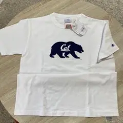 Champion Cal Tシャツ Mサイズ ホワイト