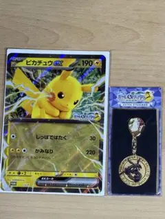 ポケモンスタンプラリー　 ピカチュウex＆スペシャルメダル&スタンプ帳