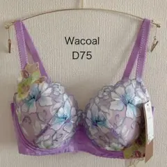 Item thumbnail for item 8397e520-7443-4b84-8e40-9d717591f2bf