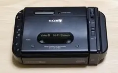 Item thumbnail for item 8f0a9359-553a-4b1c-b052-93d37d65c85e