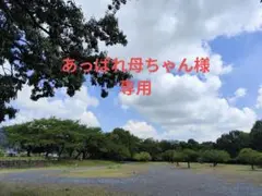 *ハンドメイドトートバッグ*ハワイアン柄*ブルー*