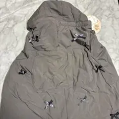 Item thumbnail for item 3b87330d-a78f-463f-943f-f5031ce6ddd1