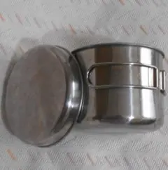 Item thumbnail for item 19f44cfd-0185-49d4-8923-3edebf07144d