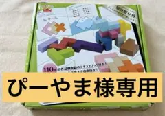 エドインター 立体パズル