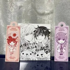 純情ロマンチカ 30巻 特典セット