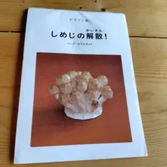 しめじの解散！ ペーパーモデルキット ペーパークラフト デザインあ