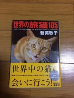 世界の旅猫105　新美敬子