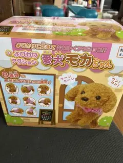 愛犬モカちゃん