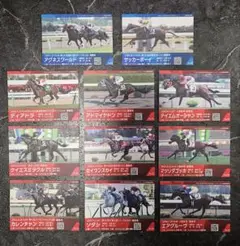 函館競馬場 札幌競馬場 メモリアル カード 26枚 競馬 競走馬 ウマ娘 グッズ 函館競馬場 札幌競馬場 メモリアル カード 26枚 競馬 競走馬
