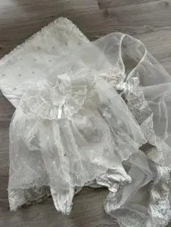 Item thumbnail for item 42cfdd29-3f58-4640-84b1-13cbc85a6c1a