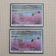 Item thumbnail for item 89e6144b-5fda-4d79-9929-5ad98bc6d794