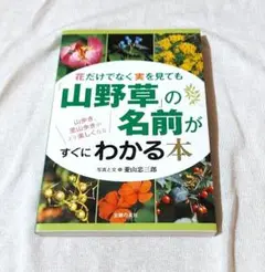 花だけでなく実を見ても山野草の名前がすぐにわかる本