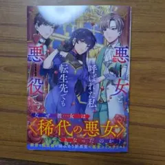 悪女と呼ばれた私、転生先でも悪役です 1