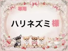 専用