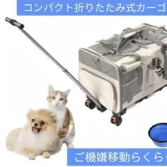 Item thumbnail for item 0b436c49-87a3-469d-aa77-d2d84e4e10de