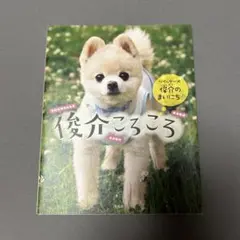 俊介ころころ