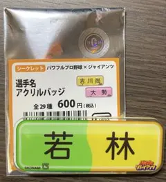 パワプロ × ジャイアンツ 選手名アクリルバッジ 若林楽人