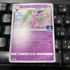 エーフィ　ジムプロモ