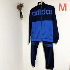 Item thumbnail for item 57058b78-a87c-40dd-a873-beb30a84ed4a