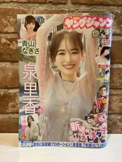 『週刊ヤングジャンプ 2024年10月24日号・小冊子付』表紙：泉里香さん