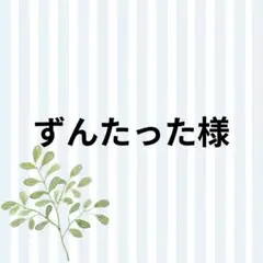 スープ ▶ シアーブラウス サイズ9 白 小鳥柄 フリル